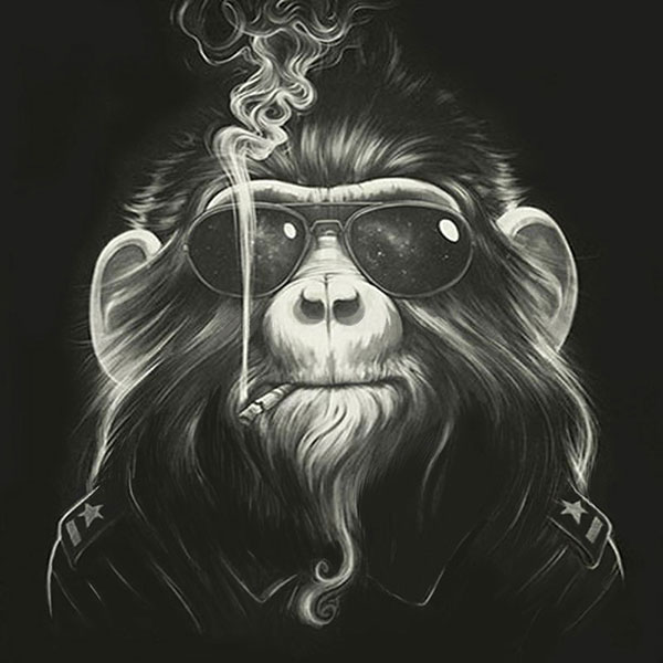 Kompatibelt djur till Jahrriesnge monkey-lpg1632  Kompatibelt djur Jahrriesnge  till monkey-lpg1632